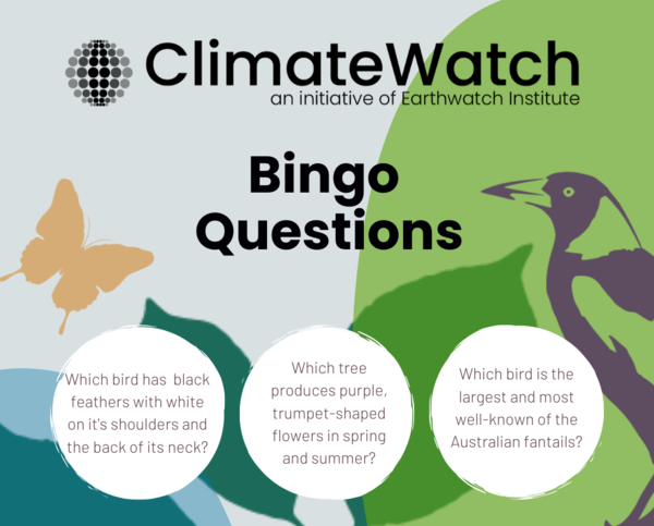 For educators bingo questions