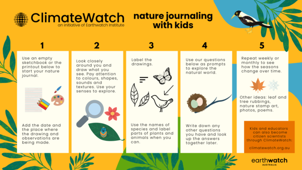 For educators naturejournal1 instructions