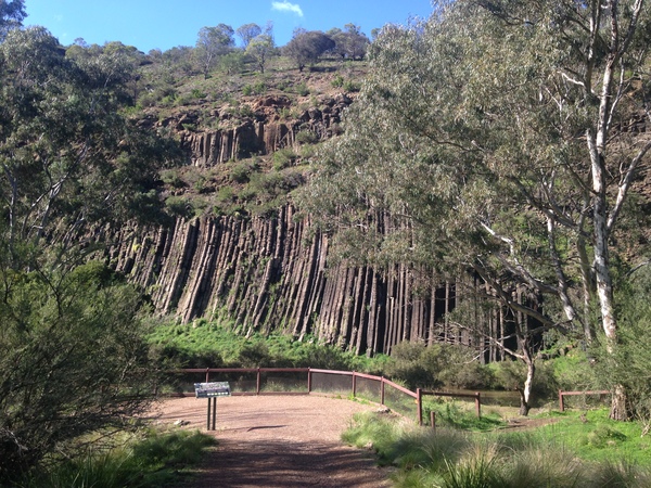 organ pipes NP1