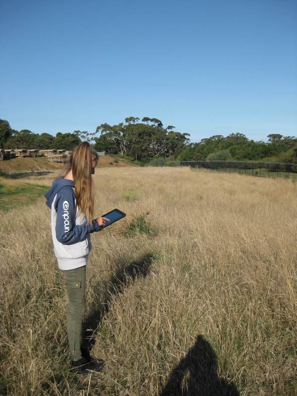 student using iphone/ipad to record climatewatch species