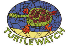 Turtle Watch Logo2