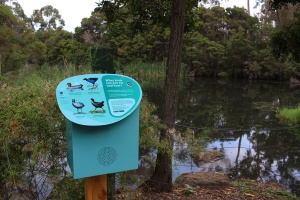 Spotting birds in the beautiful surrounds of the Glen Iris Wetlands