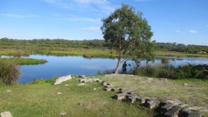 Yanchep National Park, WA