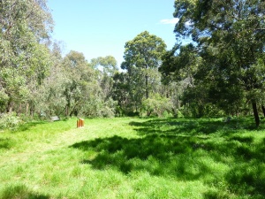 Valley Reserve Bushland 