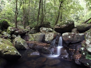 Kangaroo Valley PS, NSW