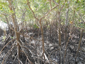 Darwin – East Point Reserve, NT