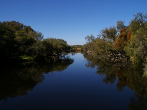 Canning River Regional Park, WA