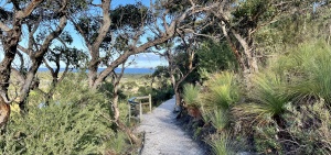 Wilsons Promontory 