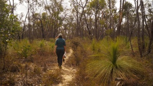 ClimateWatch in Parks