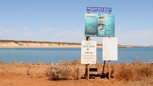 Wickham, WA