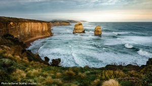 Phenological Changes in the Southern Hemisphere