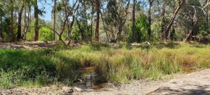 100 Acres Reserve, VIC