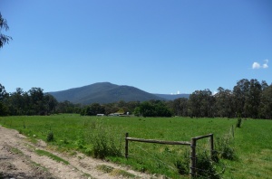 Haining Farm, VIC