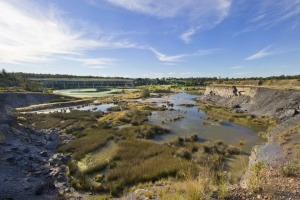 Sydney Olympic Park, NSW