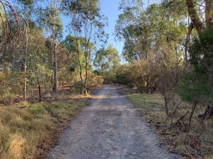 Earthwatch and Parks Victoria monitoring plants along the Cape Conran Nature Trail 