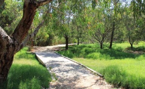 Australian Journey and Wetlands Wirribe Trail at the Werribee Open Range Zoo in Werribee, Victoria