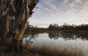 Kings Billabong | Parks Victoria