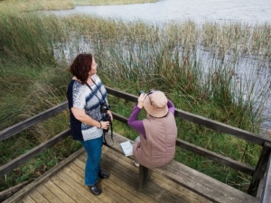 Lake Seppings, Albany, WA
