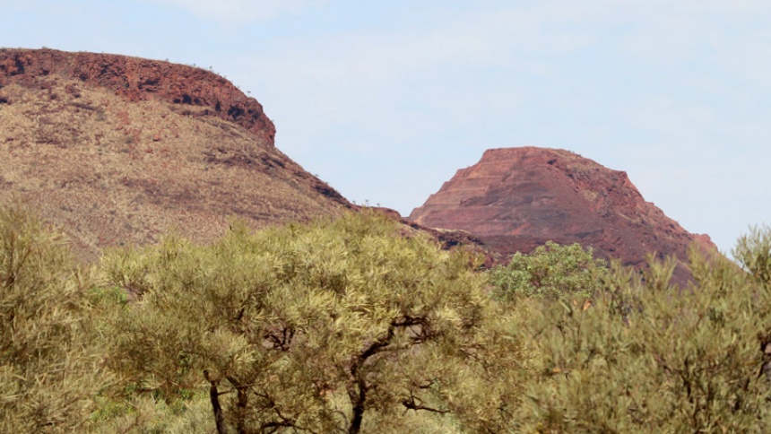 Paraburdoo, WA ClimateWatch Australia Citizen Science App